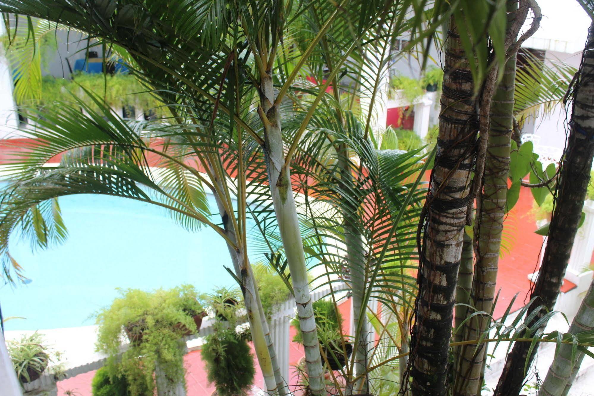 Hotel Grecia Real ซานซัลวาดอร์ ภายนอก รูปภาพ