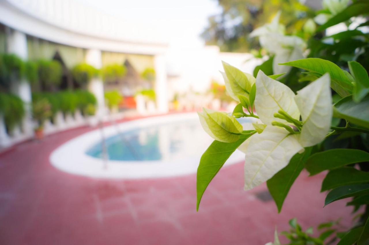 Hotel Grecia Real ซานซัลวาดอร์ ภายนอก รูปภาพ